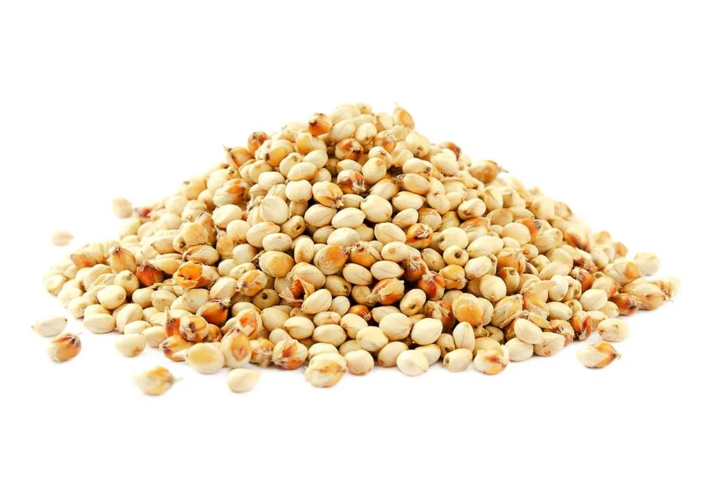 Sorghum Millet