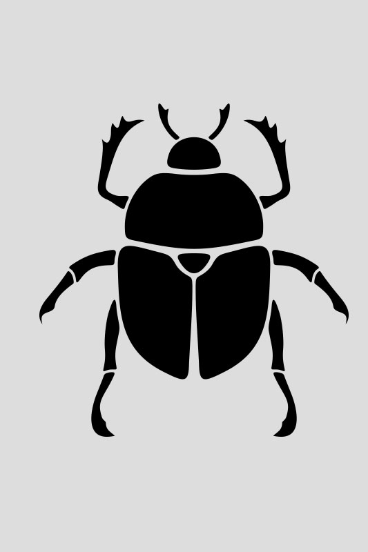 Beetle Dice Drawing