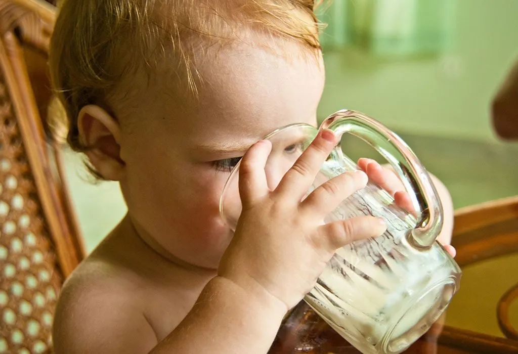 Nutrient Requirements for a 15 Months Old Child