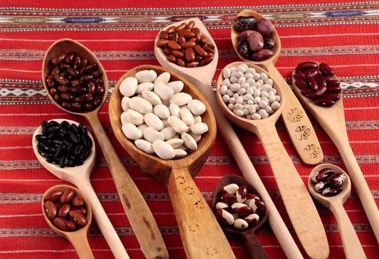 Beans for Babies - Benefits, Precautions and Recipes