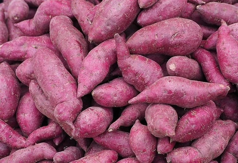 Eating Yam in Pregnancy - Benefits & Side Effects