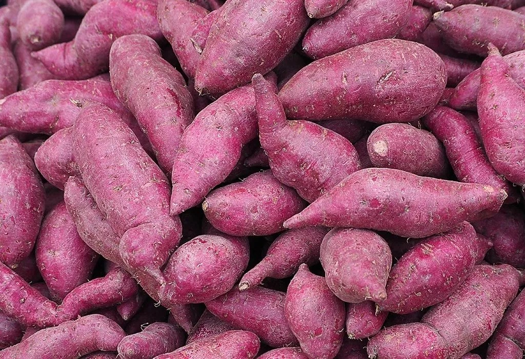 Consuming Yam during Pregnancy Is It Safe or Not?