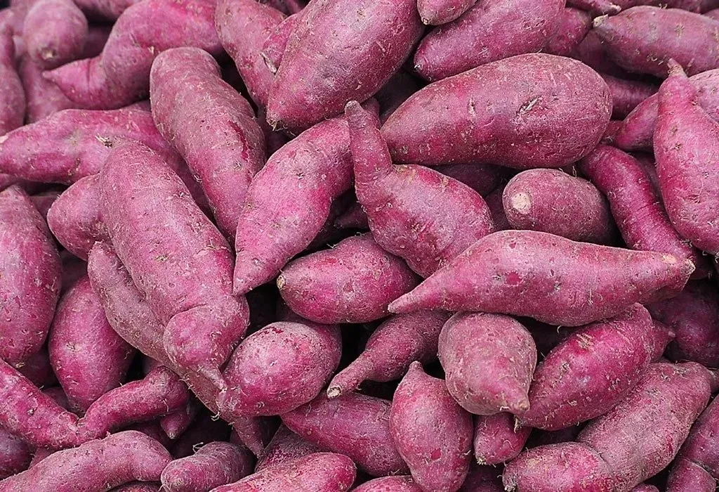 Consuming Yam during Pregnancy Is It Safe or Not?