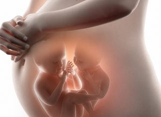 27 सप्ताह की जुड़वां या एकाधिक गर्भावस्था 27 सप्ताह की जुड़वां या एकाधिक प्रेगनेंसी