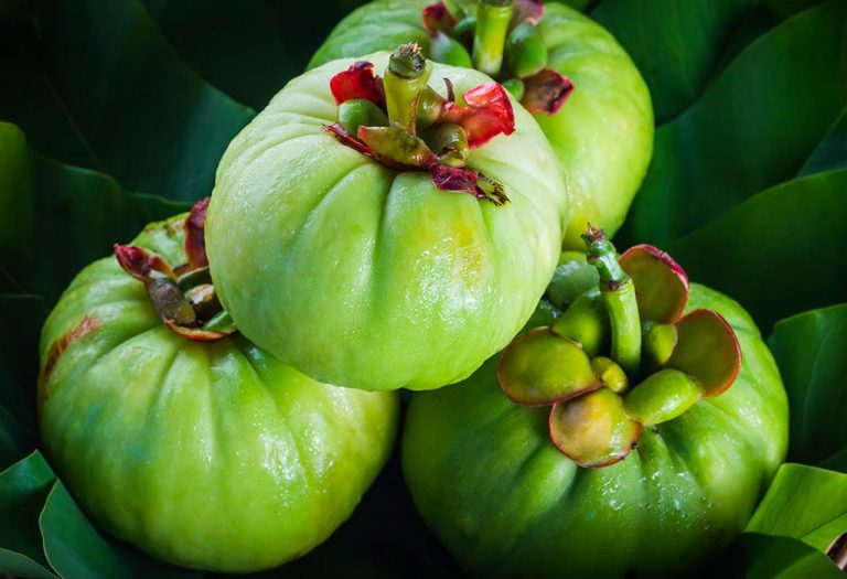 Is Taking Garcinia Cambogia during Breastfeeding Safe?