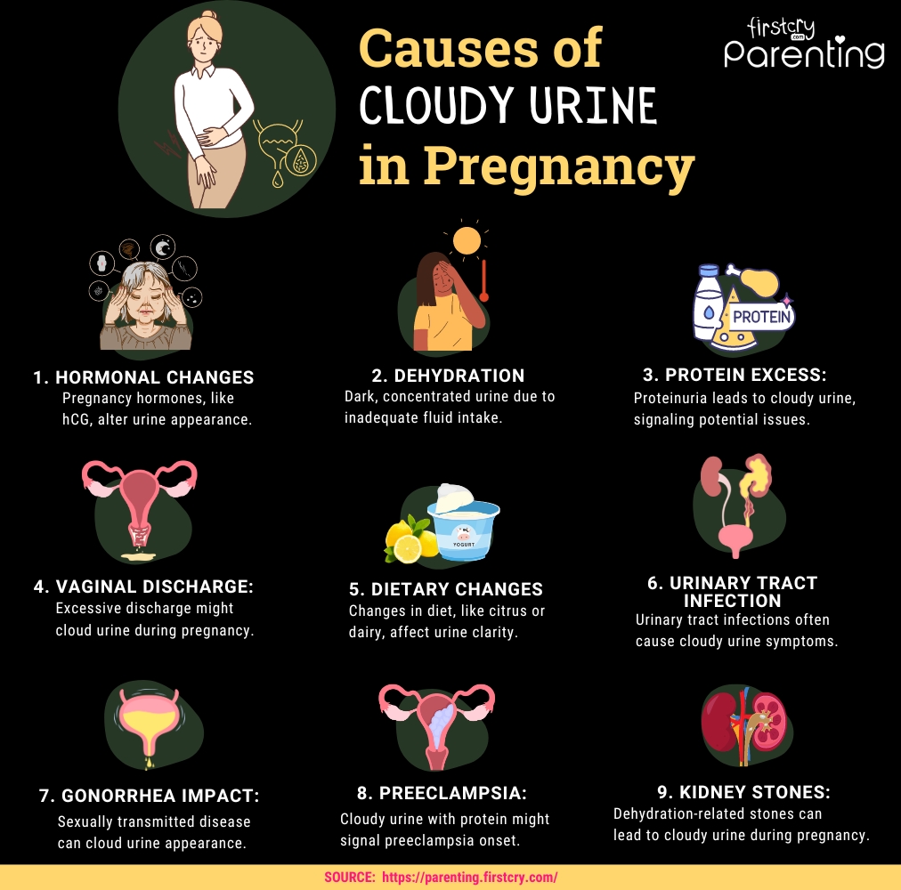 Cloudy Pee during Pregnancy: Causes & Home Remedies