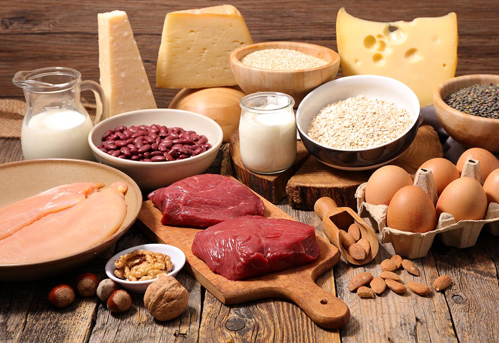 Food Sources of Protein