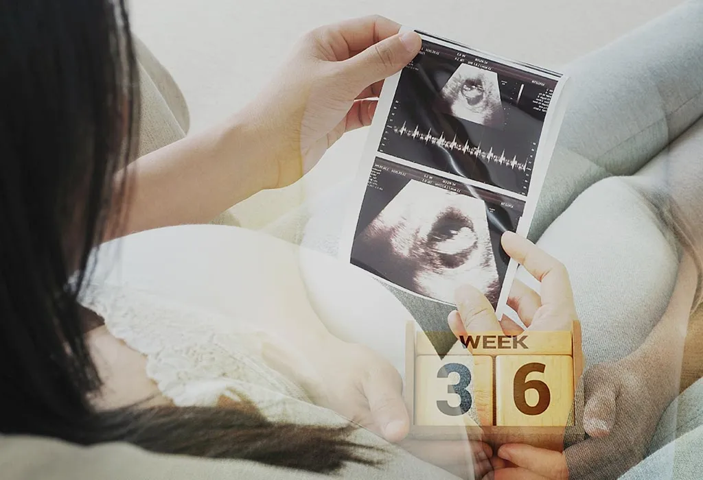 ३६ व्या आठवड्यात बाळांची वाढ