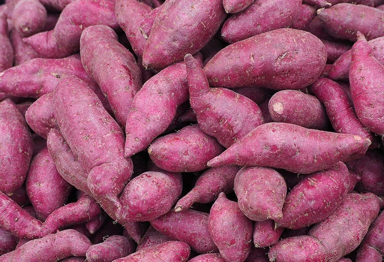 Eating Yams During Pregnancy