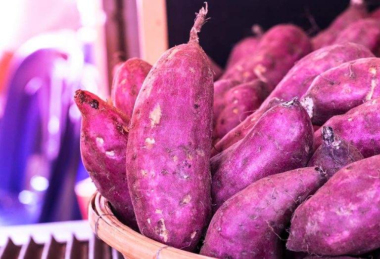 consuming-yam-during-pregnancy-is-it-safe-or-not