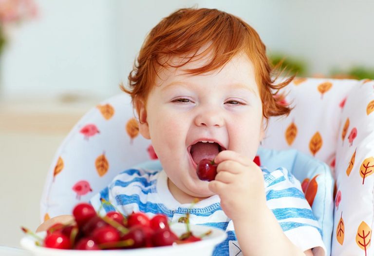 Cherries for Babies - Health Benefits & Recipes
