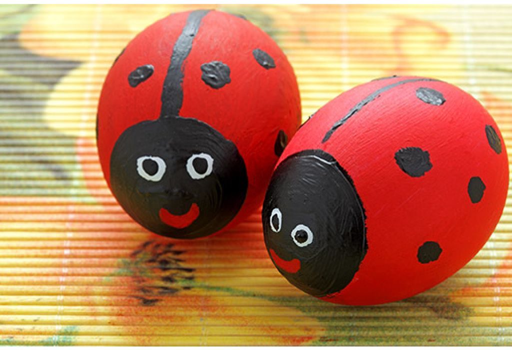 Ladybird Eggs