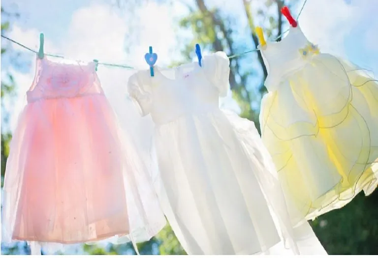 Your Ultimate Stain Removal Guide to Remove Blood Stains and More!