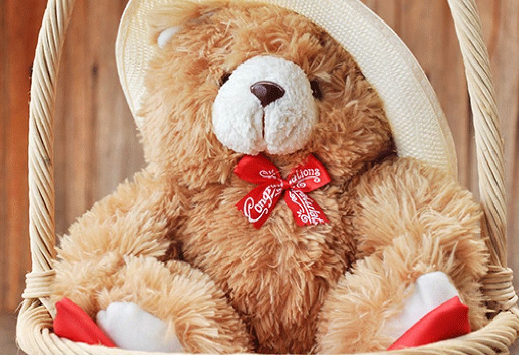 Big, Cuddly Teddy Bear