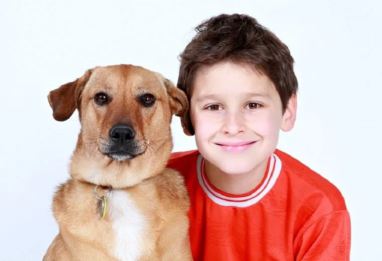 How Keeping A Pet Can Build Empathy In Your Child