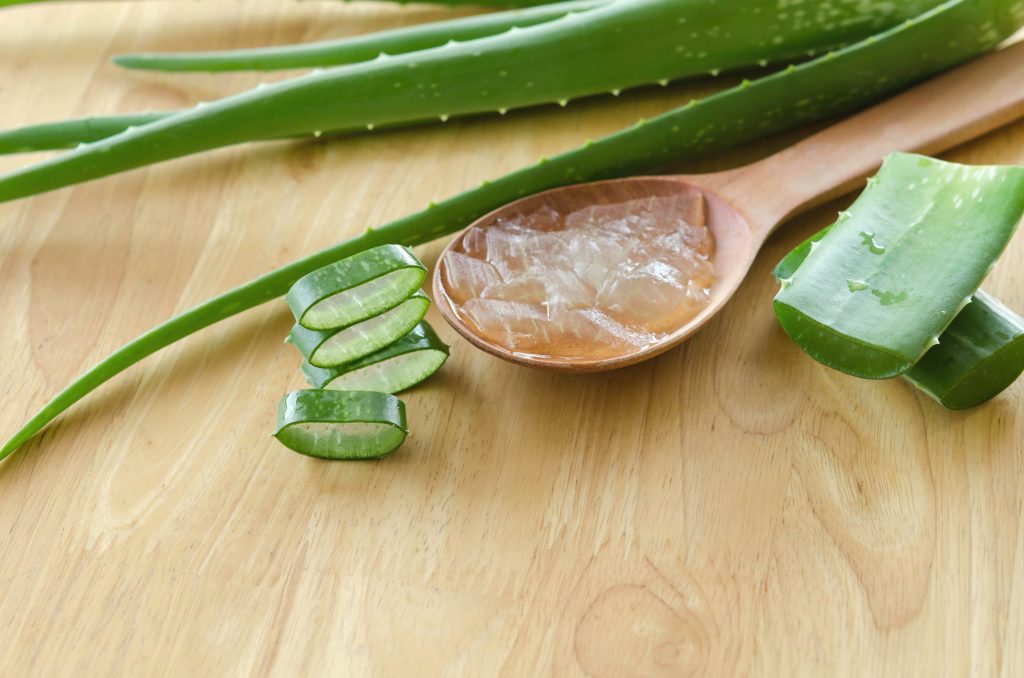 Aloe Vera for Babies – Must Know Benefits and Precautions