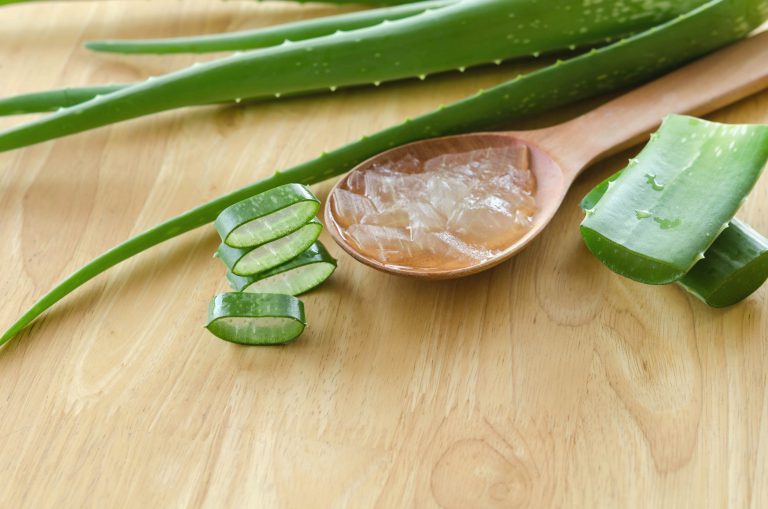 Aloe Vera for Babies - Must Know Benefits and Precautions