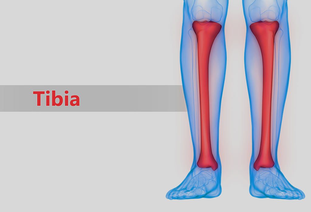 Torsion of the Tibia