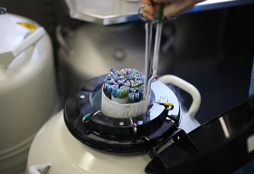 When Can You Have Frozen Embryo Procedure?