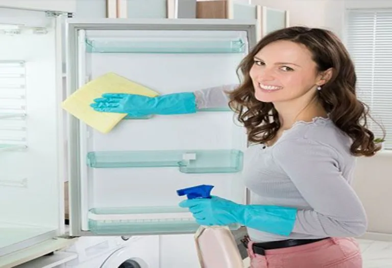 Cleaning All your Kitchen Electronics
