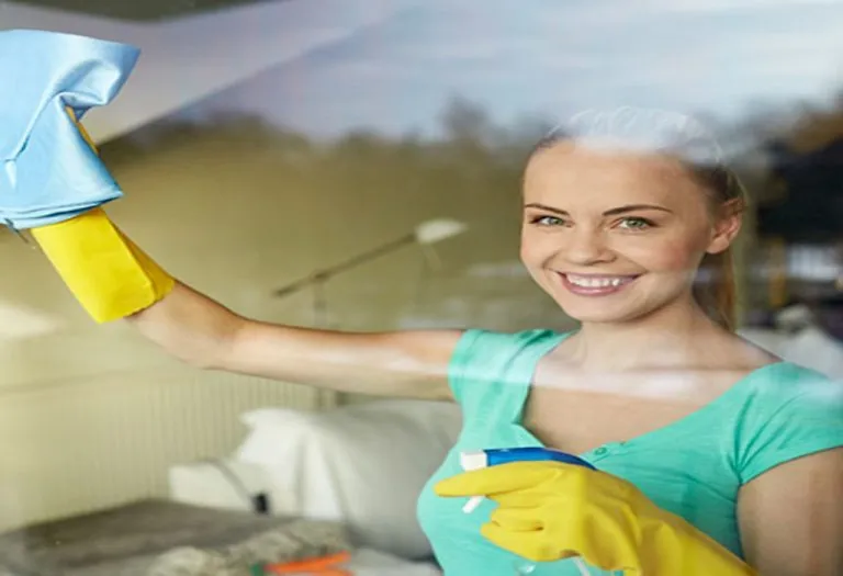Washing your Windows: Look Out in Style!