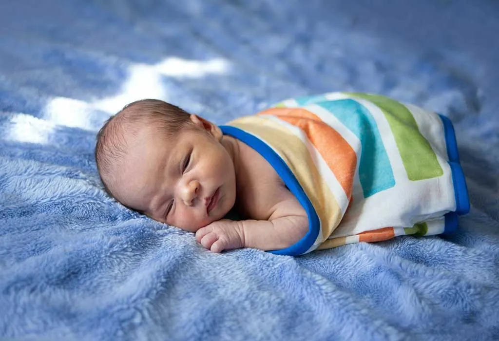 Snuggled Up in a Cozy Blanket