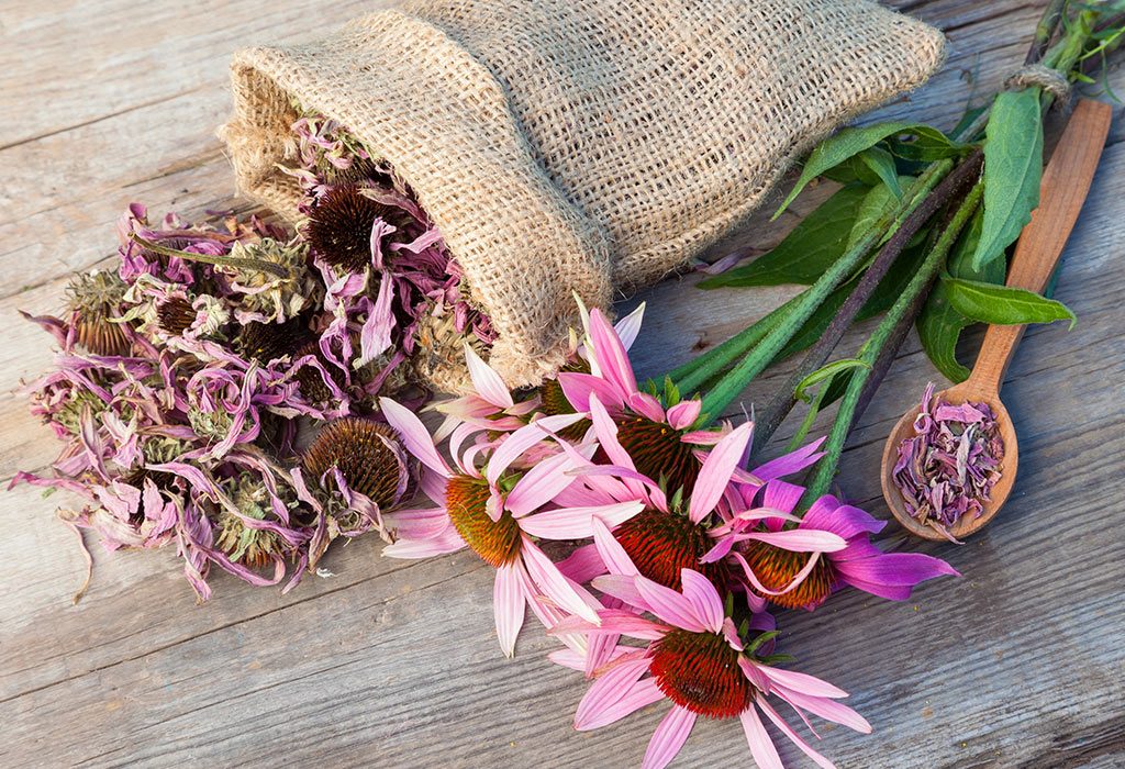 Is It Safe to Take Echinacea During Pregnancy?