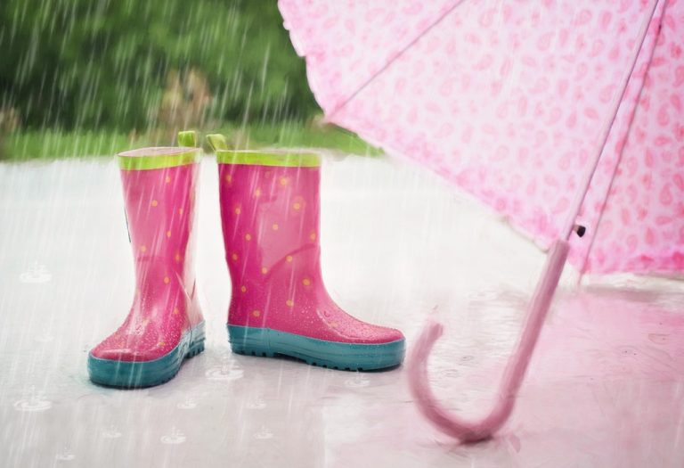 Travel Accessories for Women During Rains