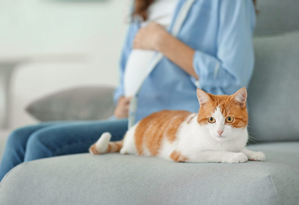 Picture of Is It Safe to Clean Cat Litter Box While Pregnant?