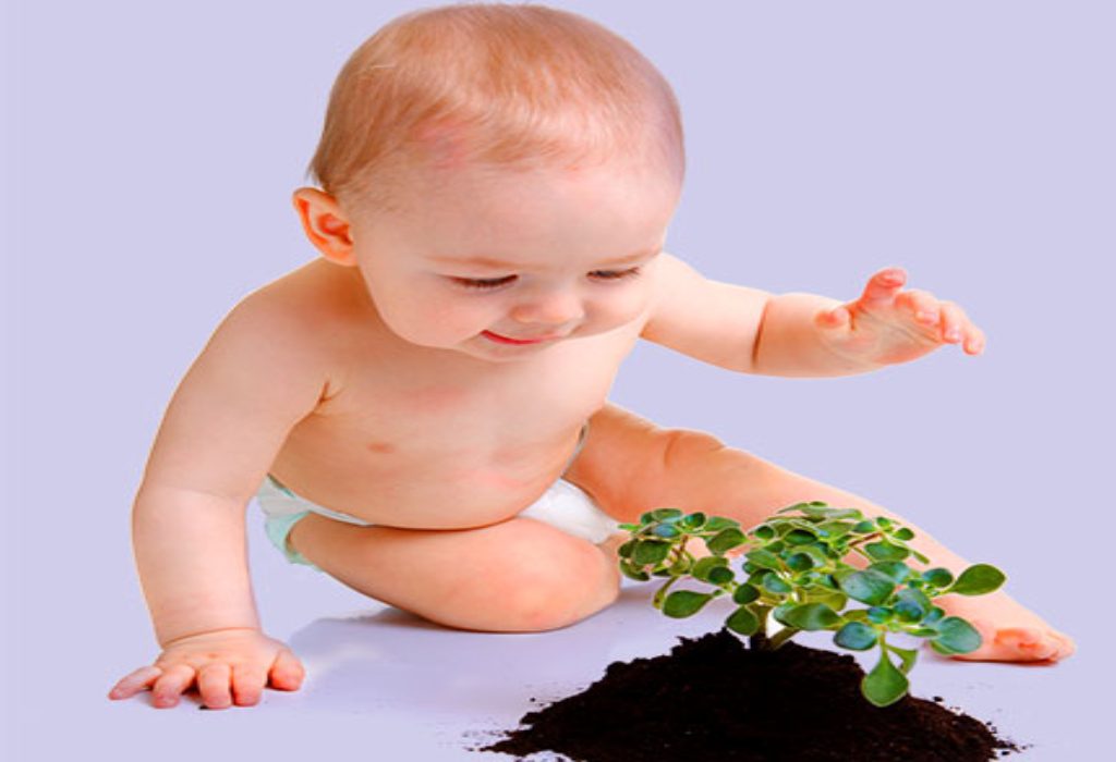 How to Protect your Baby from Poisonous Plants