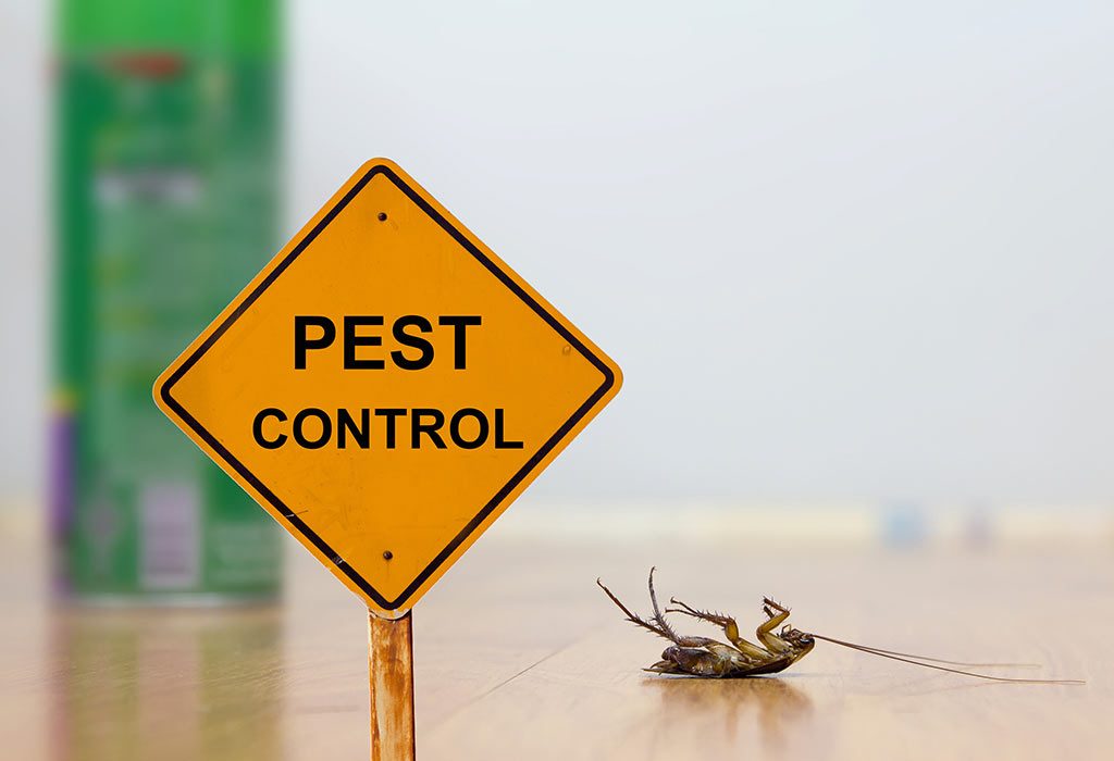 Pest Control And Baby Around Safety Risks Essential Tips