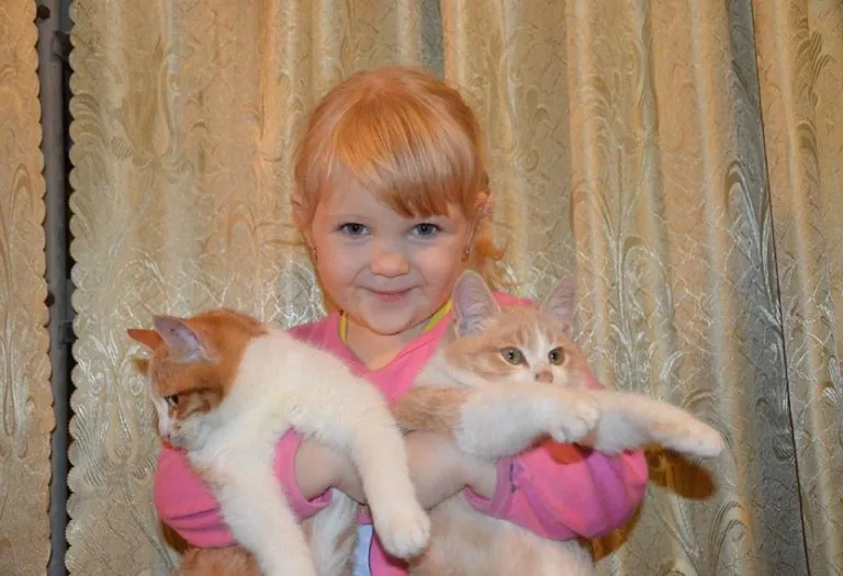 How Animal Sounds Can Help Your 13 Months Old