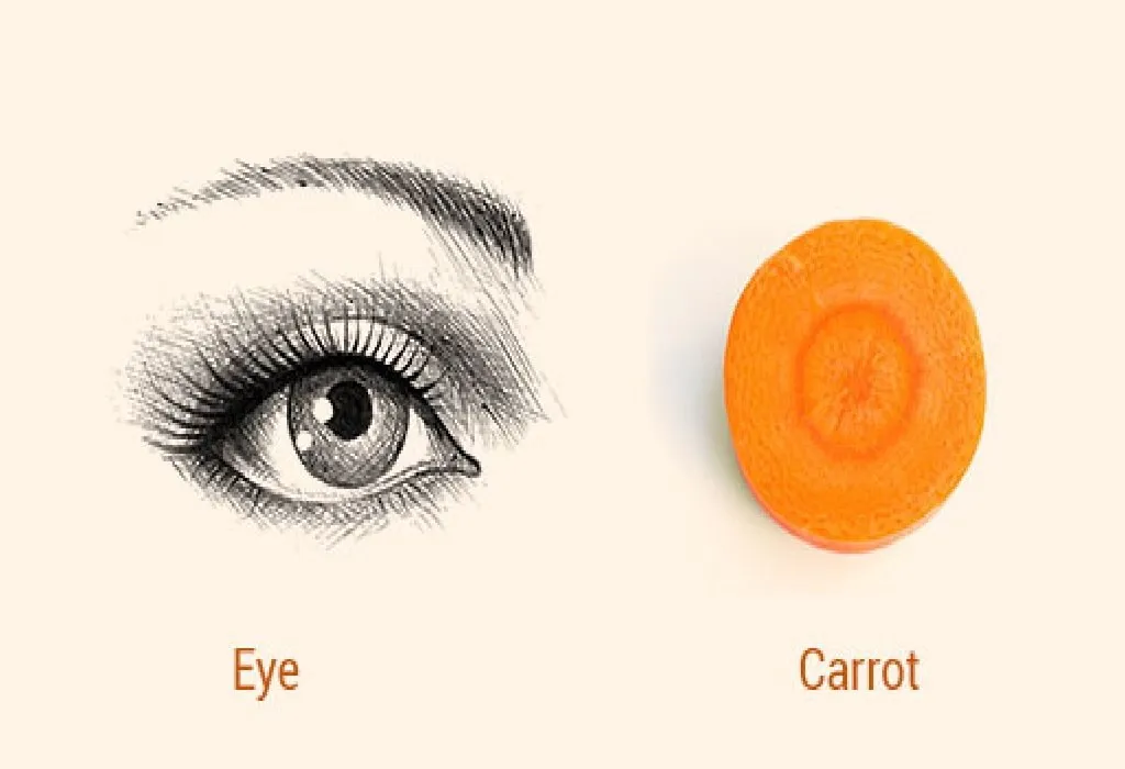 Carrot and Eye