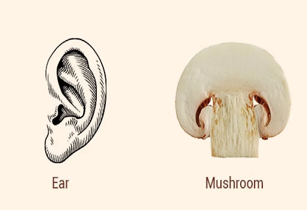 Mushrooms and Ears