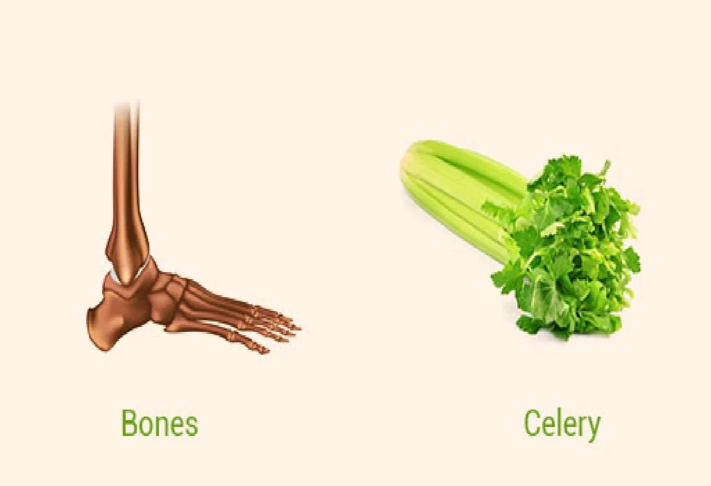 Celery and BonesCelery and Bones
