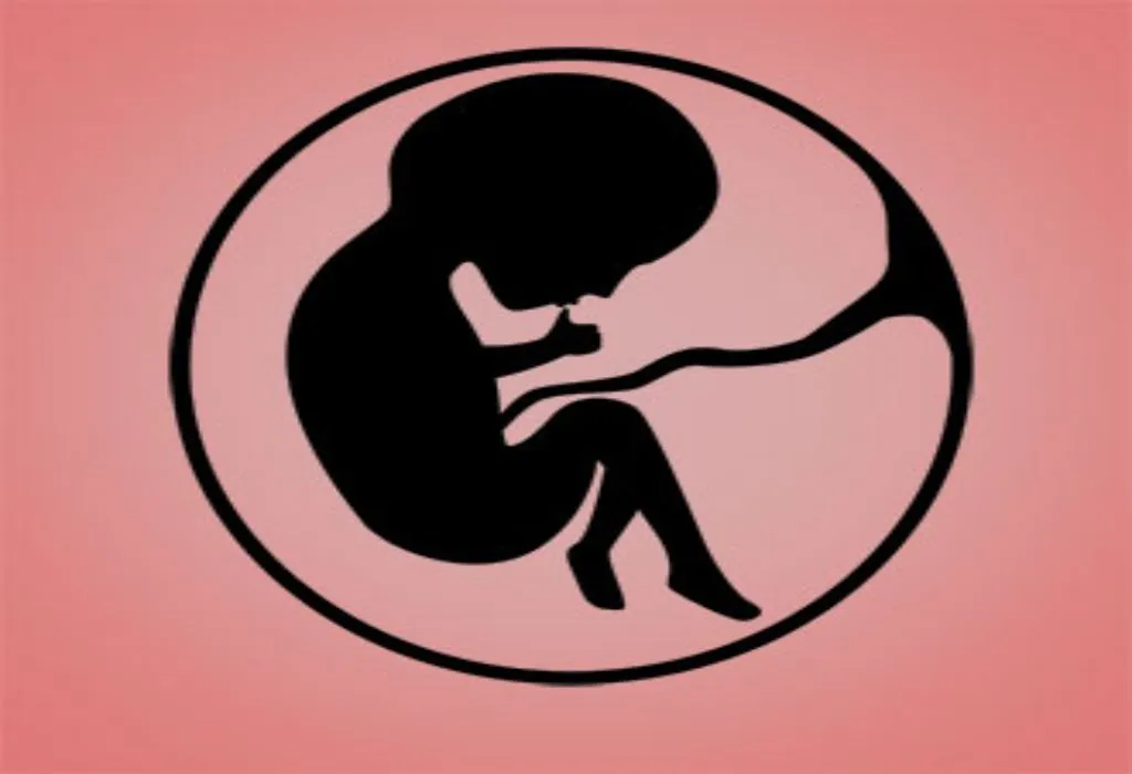 Research on Omphalitis Research on Omphalitis