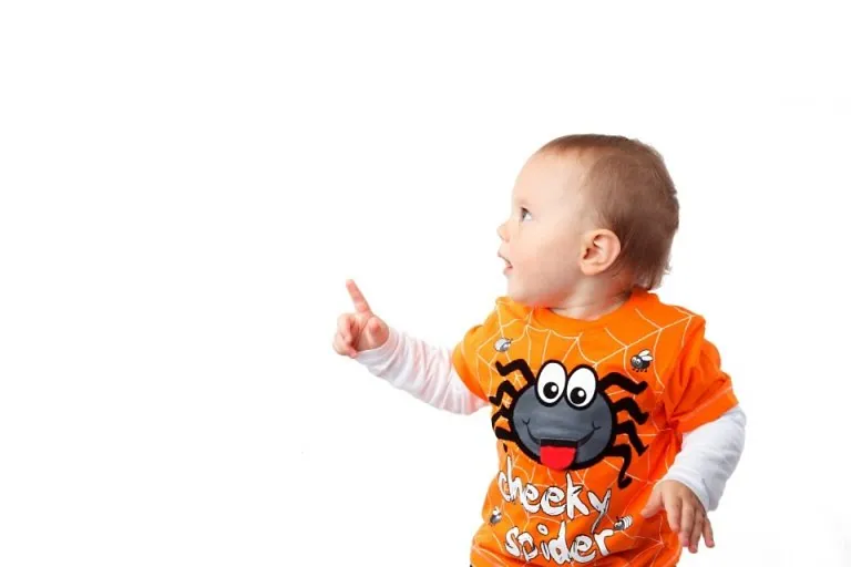 Understanding the Pointing Skills of a 1 Year Old