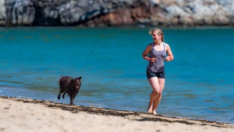 5 Fun Ways to Let your Dog Be your Fitness Pal
