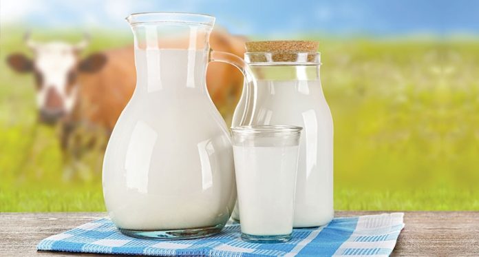 is milk with bovine growth hormone safe for my toddler to drink