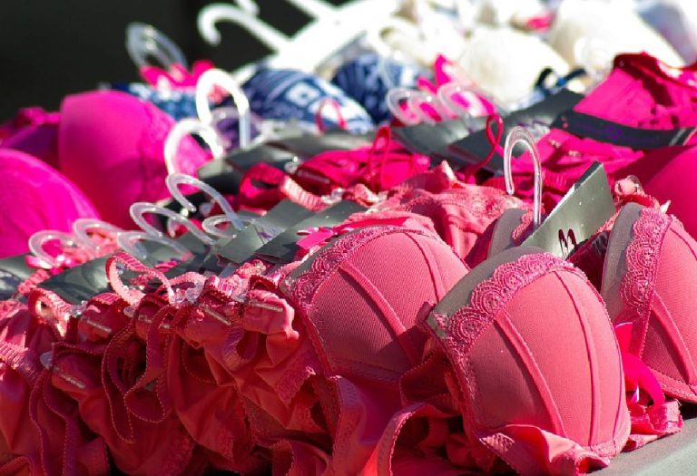 In The Quest for the Perfect Bra