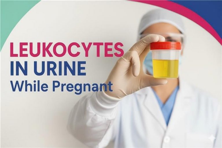 Leukocytes in Urine While Pregnant - Causes, Signs & Treatment