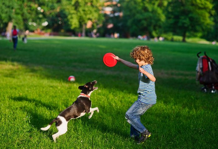 6 Fun & Exciting Picnic Games for Kids