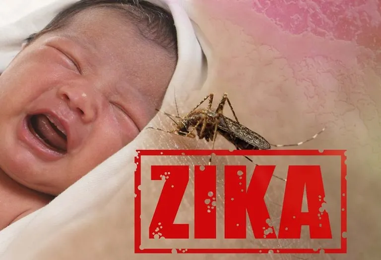 Zika Virus Infection in Children