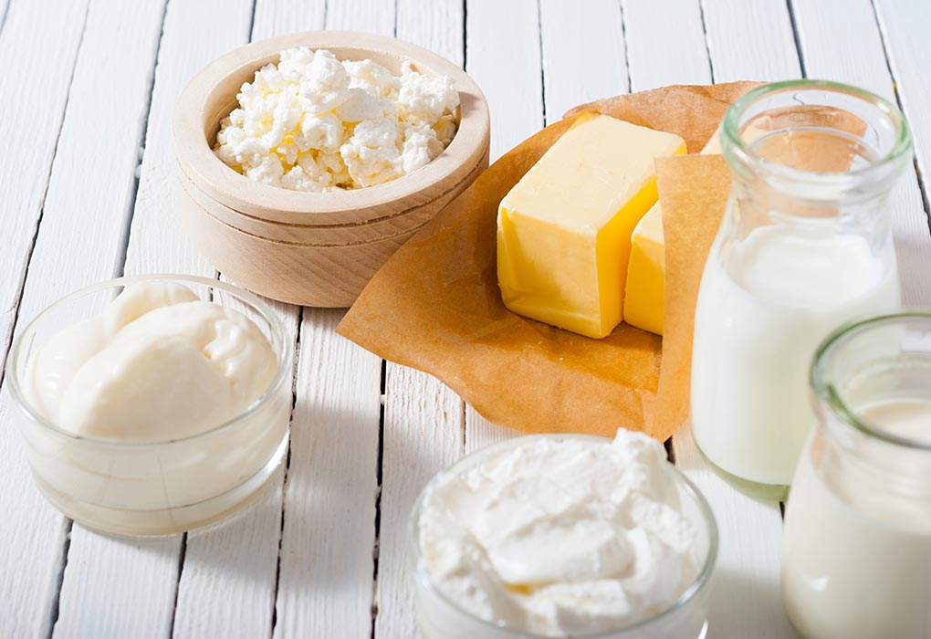 Fermented Milk Products