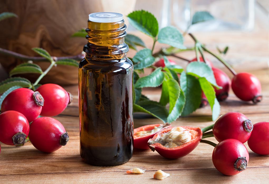 Consuming Rose Hip In Pregnancy Benefits Side Effects