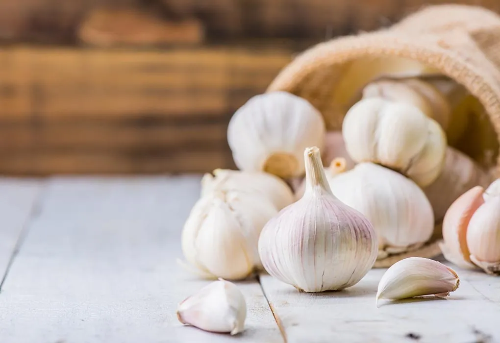 How Does Garlic Help to Boost Fertilty in Male & Female?
