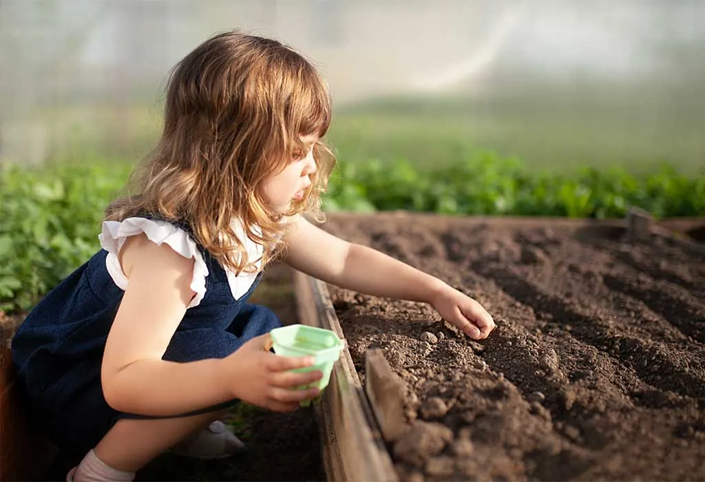 Plant a Seed
