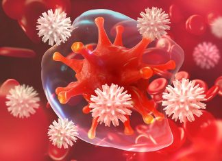 प्रेगनेंसी के दौरान पेशाब में ल्यूकोसाइट होना