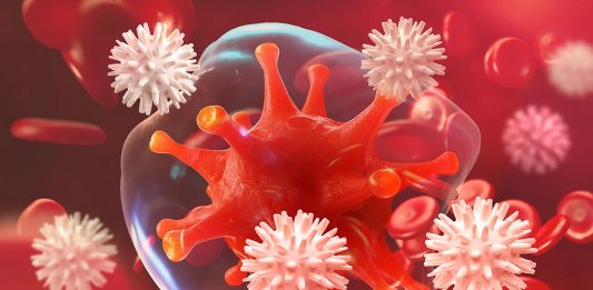 Leukocytes in Urine during Pregnancy