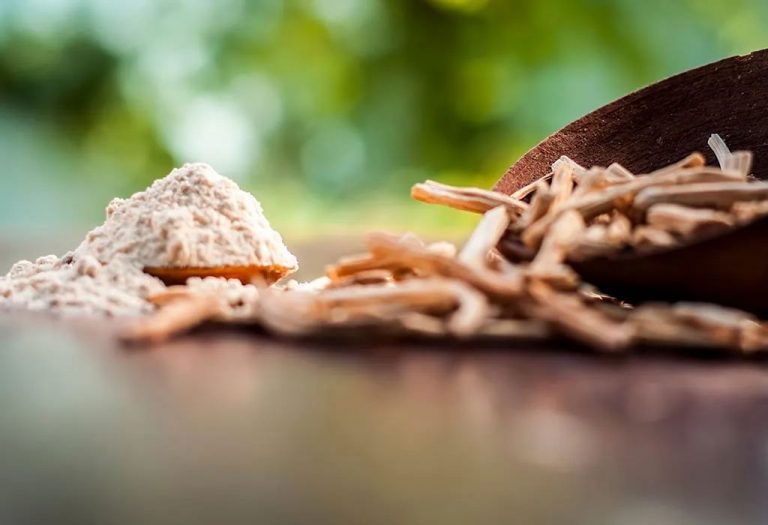 Shatavari for Lactation - Does It Really Increase Breast Milk Supply?